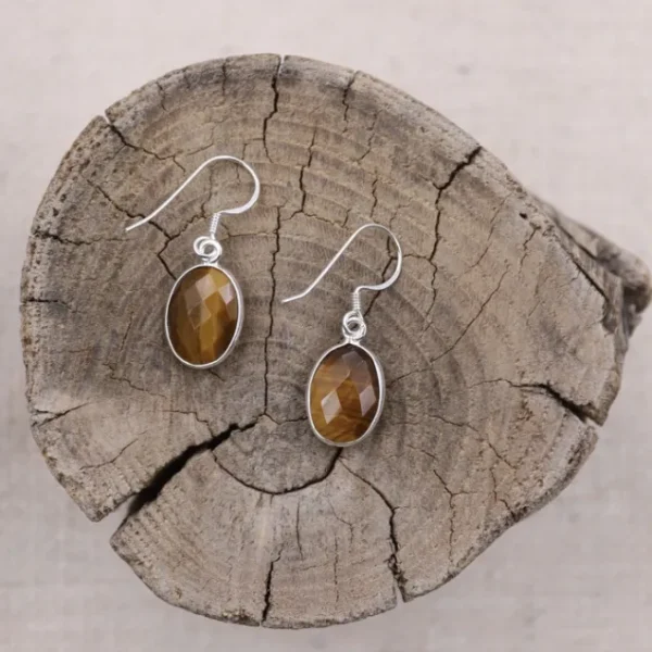 Colimaçon Boucles D'oreilles Avec Pierre-Boucles d'oreilles en argent et oeil de tigre